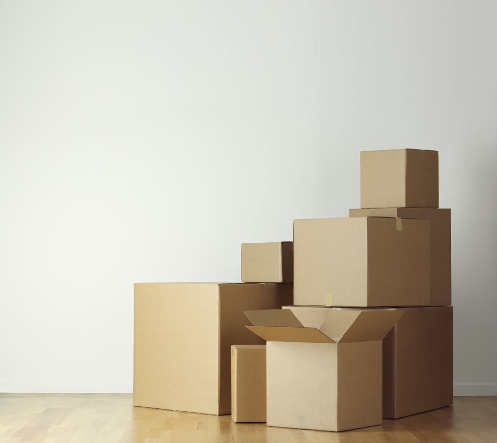 iStock_000005226953Medium